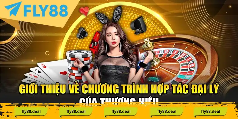 Giới thiệu về chương trình hợp tác đại lý của thương hiệu