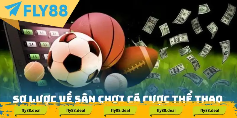 Sơ lược về sân chơi cá cược thể thao Fly88